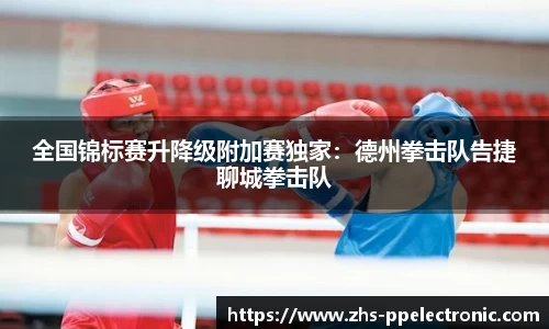 全国锦标赛升降级附加赛独家：德州拳击队告捷聊城拳击队