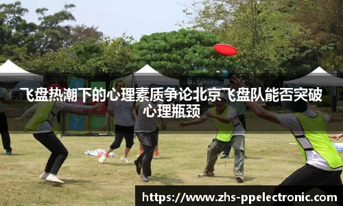 pp电子平台